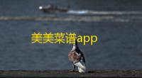 美美菜谱app