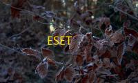 ESET